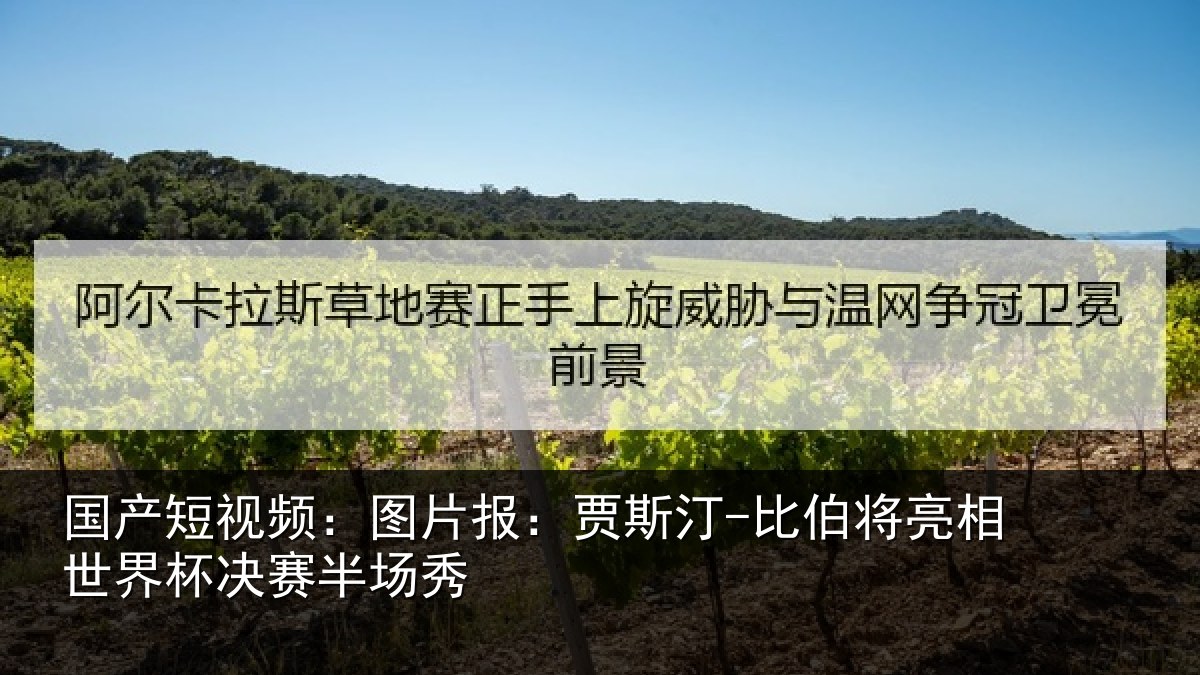国产短视频:图片相关情况相世界杯决赛半场秀